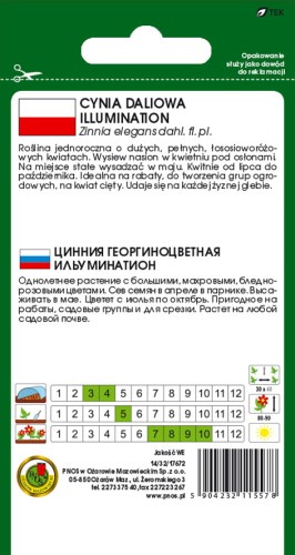 Cynia-daliowa-ILLUMINATION-ROZOWA-1g.jpg