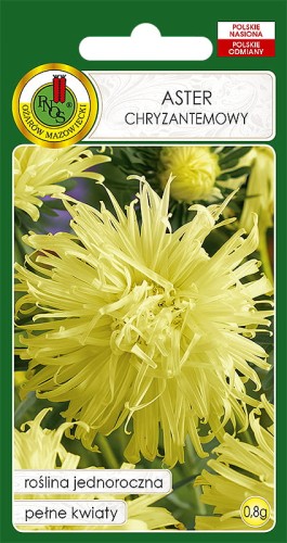Nasiona-PNOS---Nasiona-Kwiatow---aster-chryzantemowy-zolty.jpg