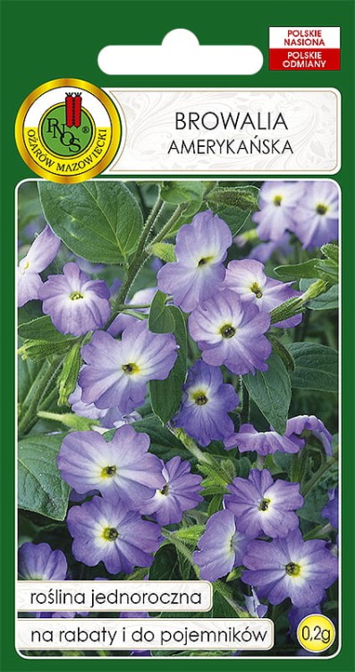 Nasiona-PNOS---Nasiona-kwiatow---browalia-amerykanska.jpg