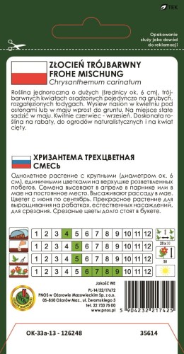Zlocien-TROJBARWNY-FROHE-MISCHUNG-MIESZANY-nasiona-pnos.jpg