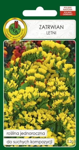 Nasiona-PNOS---Nasiona-Kwiatow---Zartwian-letni-zolty.jpg