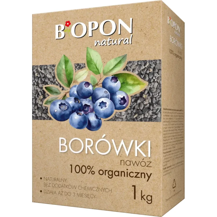 borowki-1kg-2051-5904517384682-071223-660d396e255ee.webp
