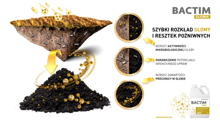Bactim Słoma baner.jpg