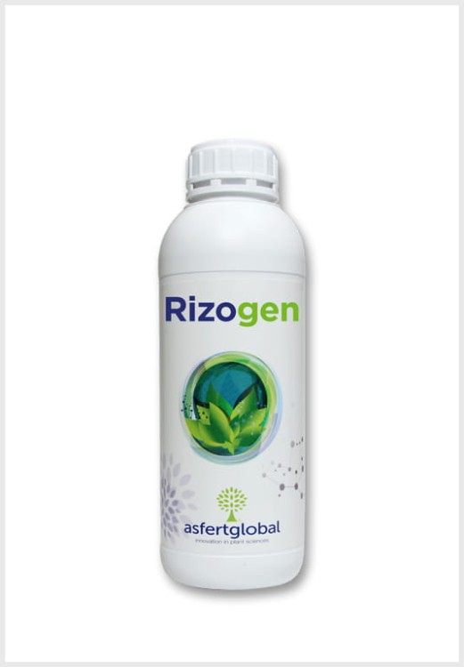 Rizogen1l.jpg