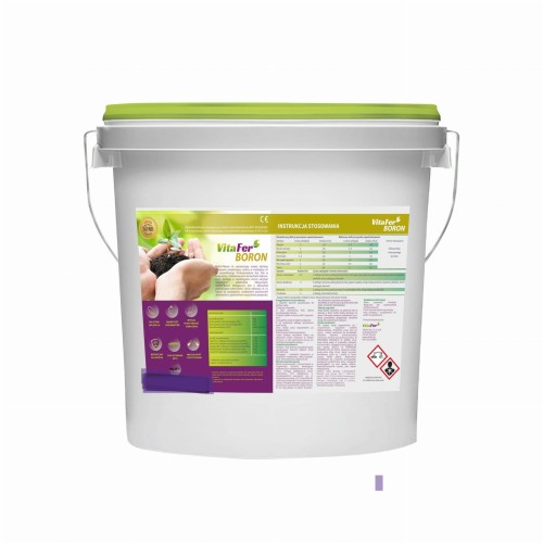 Boron-new-kopia 2.JPG