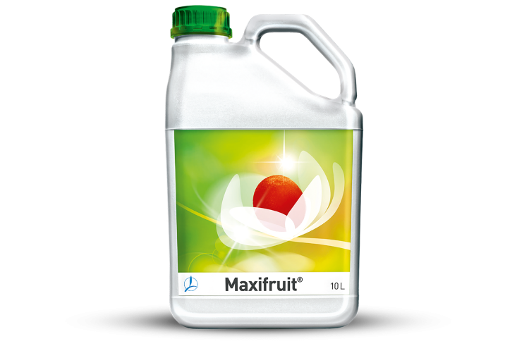 product-plyn-maxifruit.png