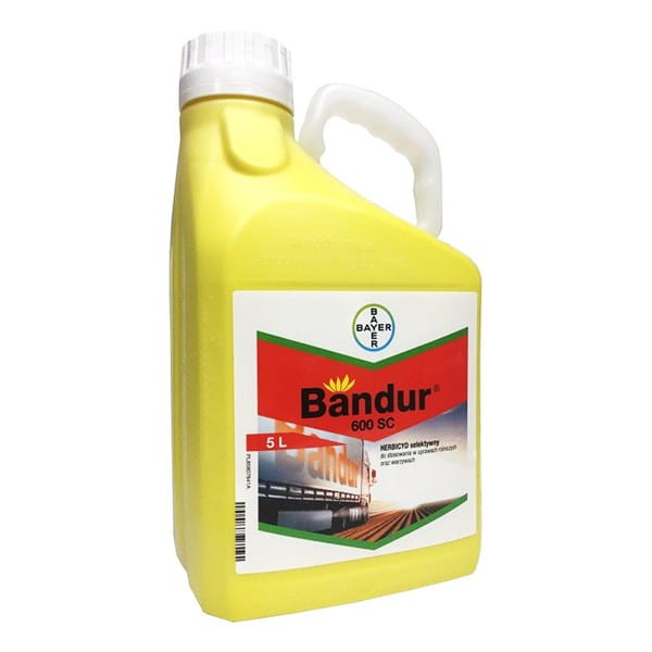 BANDUR_600SC_5L.jpg