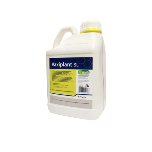 Projekt bez nazwy (12).png