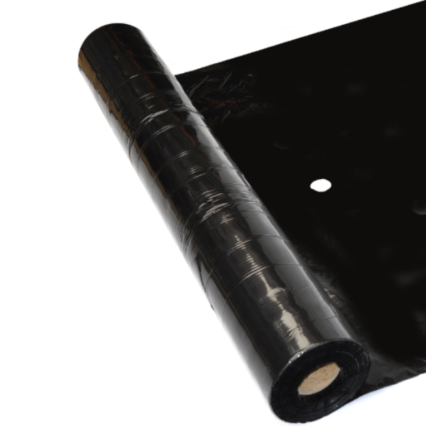 Projekt bez nazwy (22).png