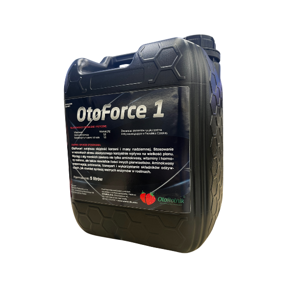 Projekt bez nazwy (19).png