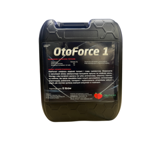 Projekt bez nazwy (18).png