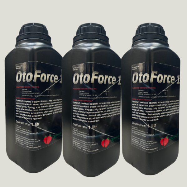 Projekt bez nazwy (30).png