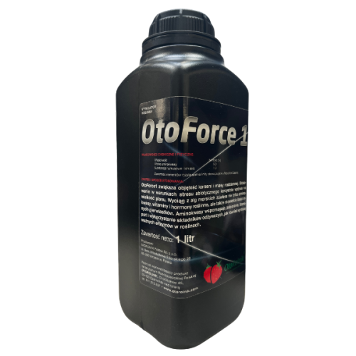 Projekt bez nazwy (29).png