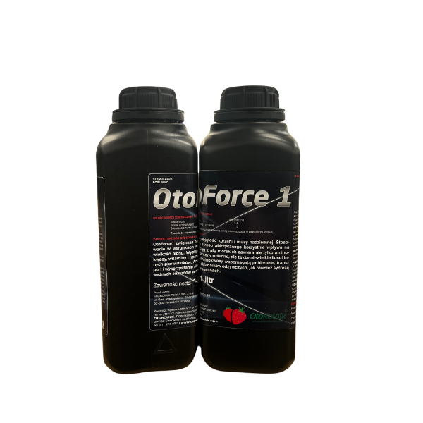 Projekt bez nazwy (28).png