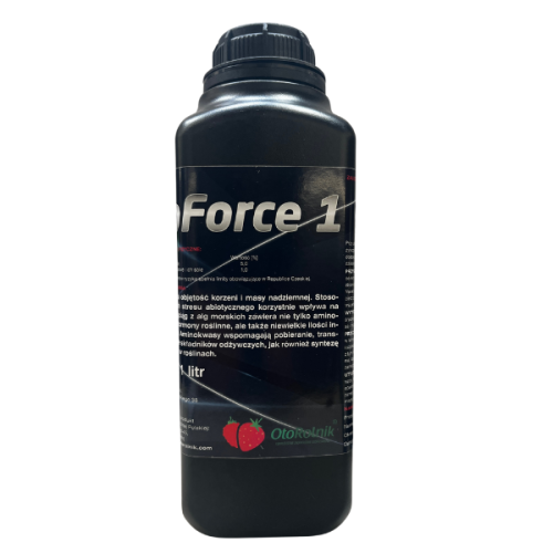 Projekt bez nazwy (27).png