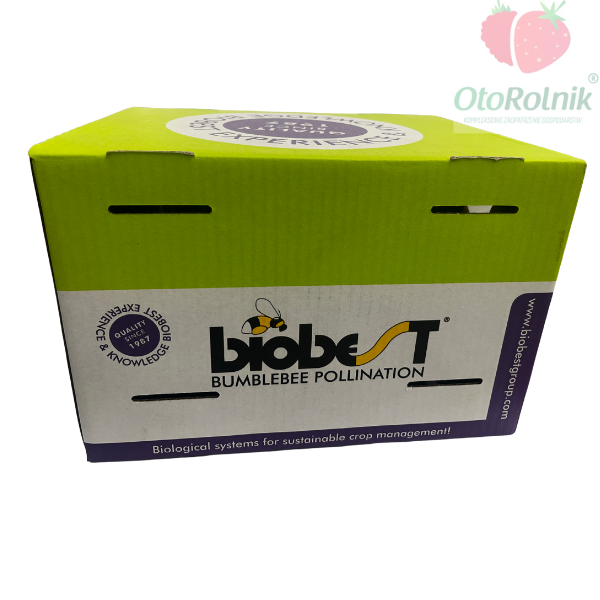 Projekt bez nazwy (33).png