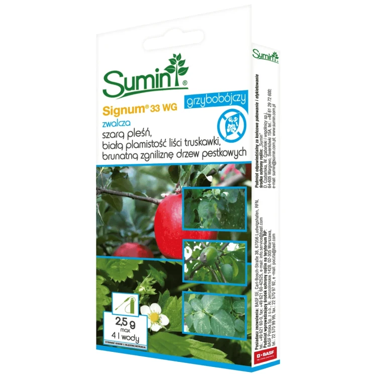 Signum_33_WG_2_5_g_Sumin.jpg.webp