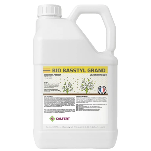 Bio_Basstyl_Grand_5_l.jpg.webp