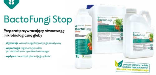 Zrzut ekranu_8-4-2026_19344_.jpeg