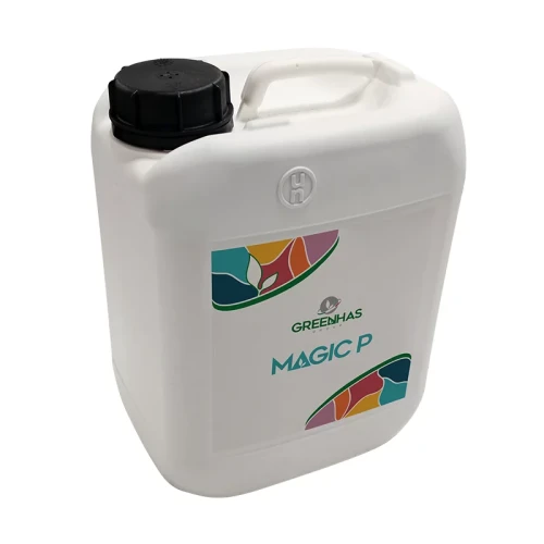 MAGIC-P-5l.webp