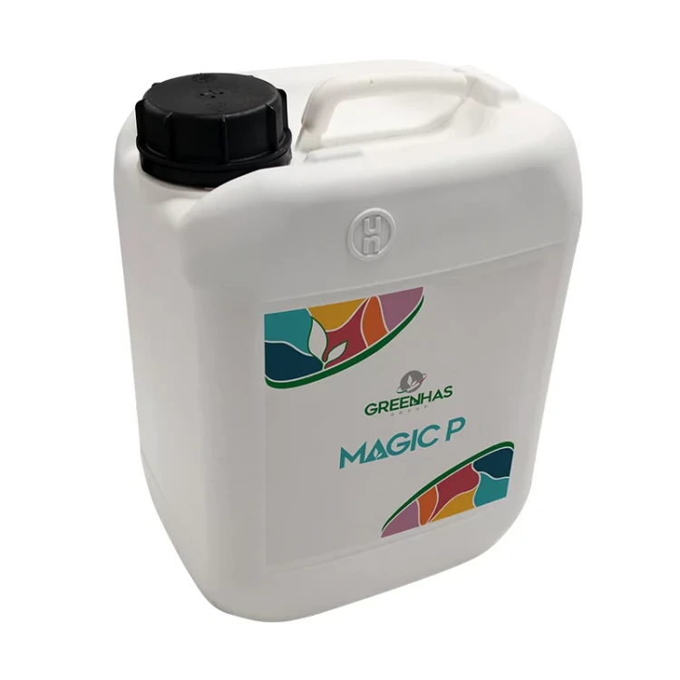 MAGIC-P-5l.webp