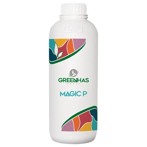 magic_p-1.webp