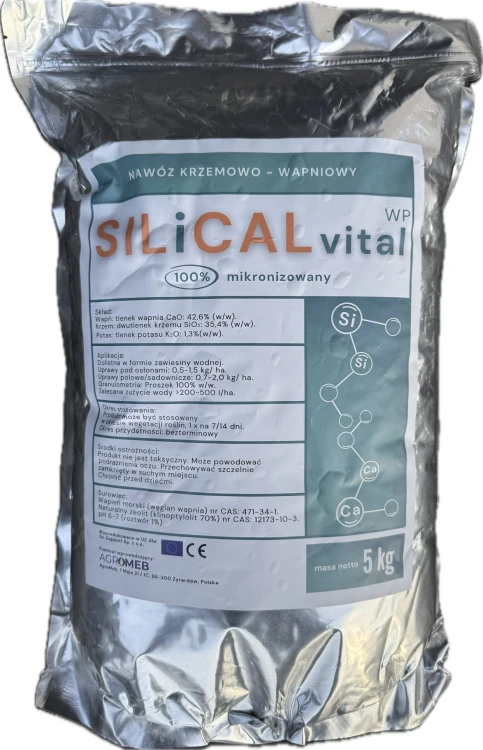 SILiCAL-Vital-scaled.jpeg
