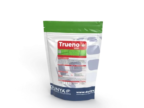 Trueno.webp