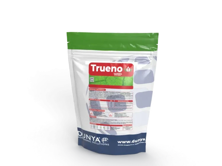 Trueno.webp