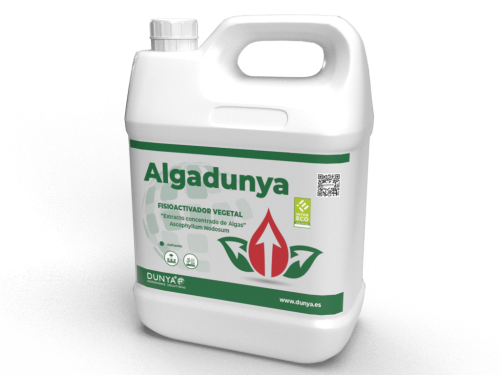 ALGADUNYA.png