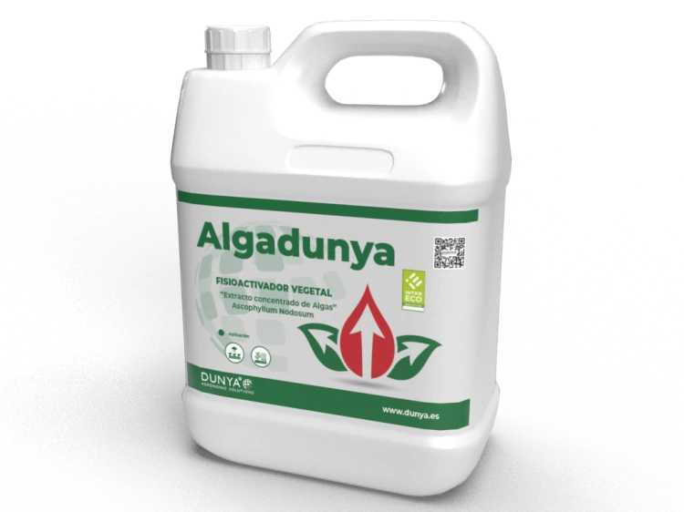 ALGADUNYA.png