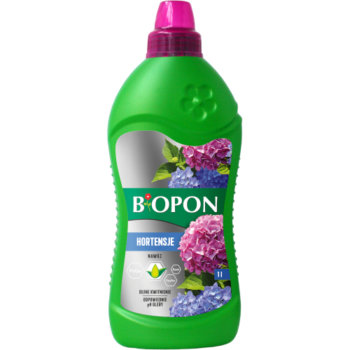 Hortensje.png