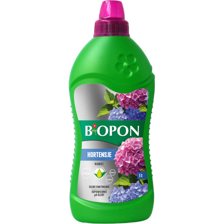 Hortensje.png